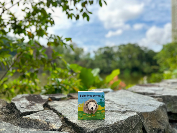 Baby Hedgehog: Finger Puppet Book