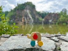 Load image into Gallery viewer, Eli The Elephant Push and Pull Toy