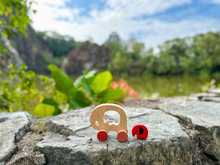 Load image into Gallery viewer, Elliot The Elephant Push Along Toy