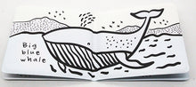 Load image into Gallery viewer, Colour Me - Who's in the Ocean?