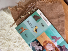 Load image into Gallery viewer, Hidden World: Forest