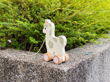 Load image into Gallery viewer, Lana the Llama Push and Pull Toy