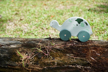 Load image into Gallery viewer, Shelly the Green Tortoise Push and Pull Toy