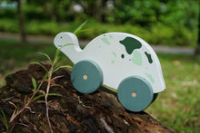Load image into Gallery viewer, Shelly the Green Tortoise Push and Pull Toy