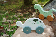 Load image into Gallery viewer, Shelly the Green Tortoise Push and Pull Toy