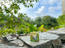 Load image into Gallery viewer, [GIFT SET] Eli the Elephant&#39;s Enchanted Playtime

