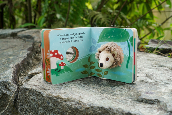 [GIFT SET] Hector the Rainbow Hedgehog's Happy Playtime