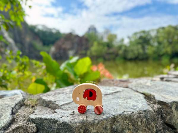 Elliot The Elephant Push Along Toy