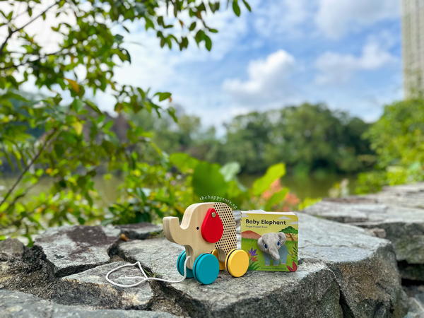 [GIFT SET] Eli the Elephant's Enchanted Playtime
