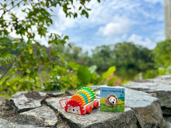 [GIFT SET] Hector the Rainbow Hedgehog's Happy Playtime