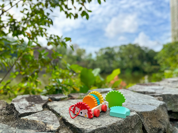 Hector the Rainbow Hedgehog Push and Pull Toy