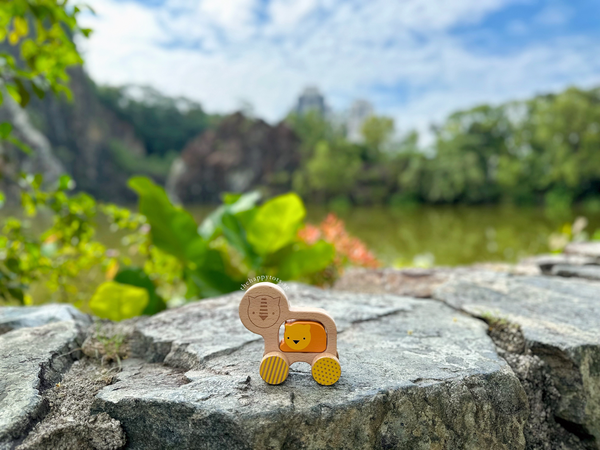 Leon The Lion Push Along Toy