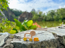 Load image into Gallery viewer, [GIFT SET] Leon The Lion’s Adventure with Daddy
