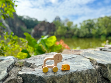 Load image into Gallery viewer, [GIFT SET] Leon The Lion’s Adventure with Daddy
