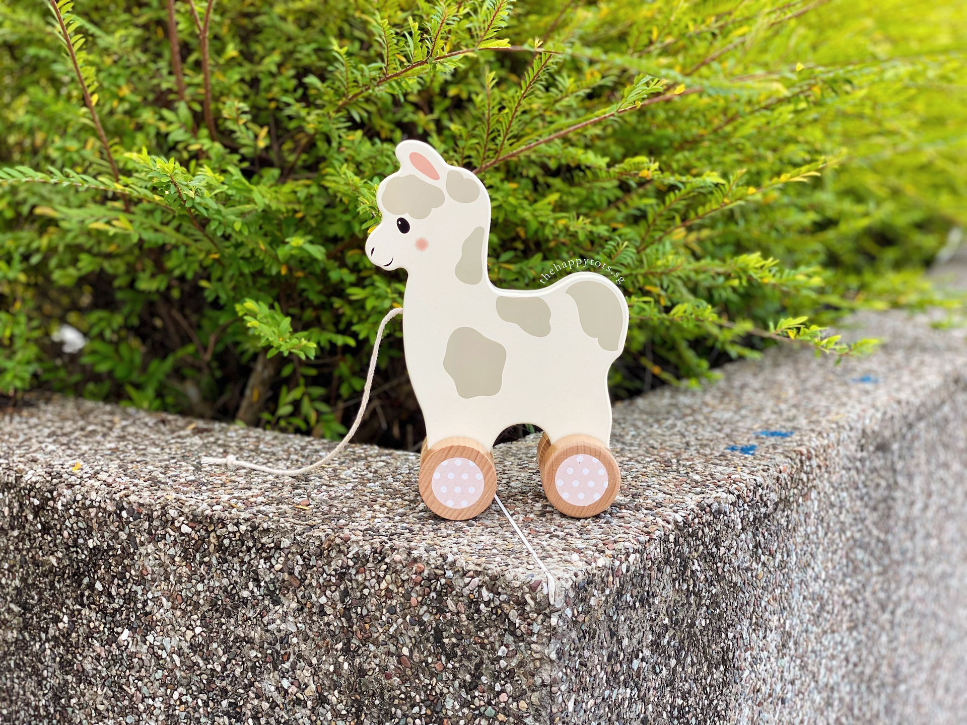 Lana the Llama Push and Pull Toy