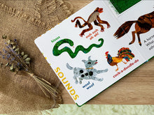 Load image into Gallery viewer, Eric Carle - My First Busy Book
