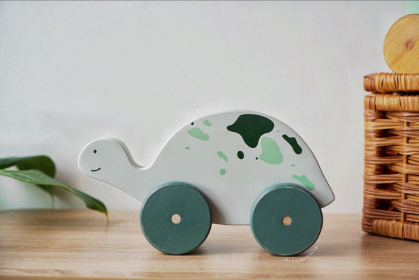 Shelly the Green Tortoise Push and Pull Toy