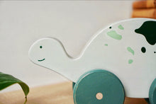 Load image into Gallery viewer, Shelly the Green Tortoise Push and Pull Toy
