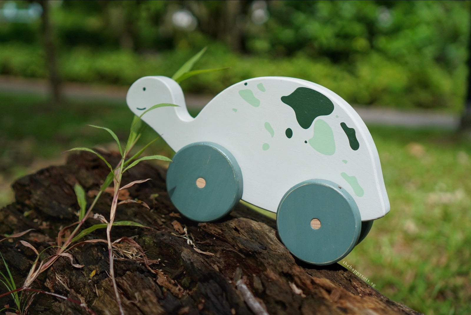 Shelly the Green Tortoise Push and Pull Toy