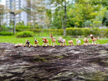 Load image into Gallery viewer, [GIFT SET] Farm and Zoo Animals
