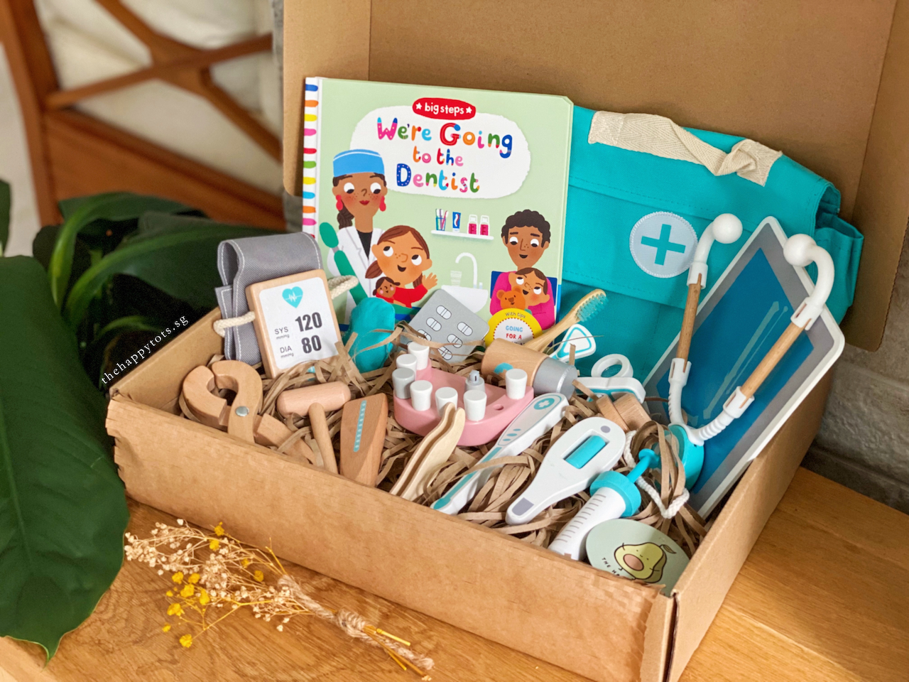 [GIFT SET] I Want to Be a Doctor/Dentist!